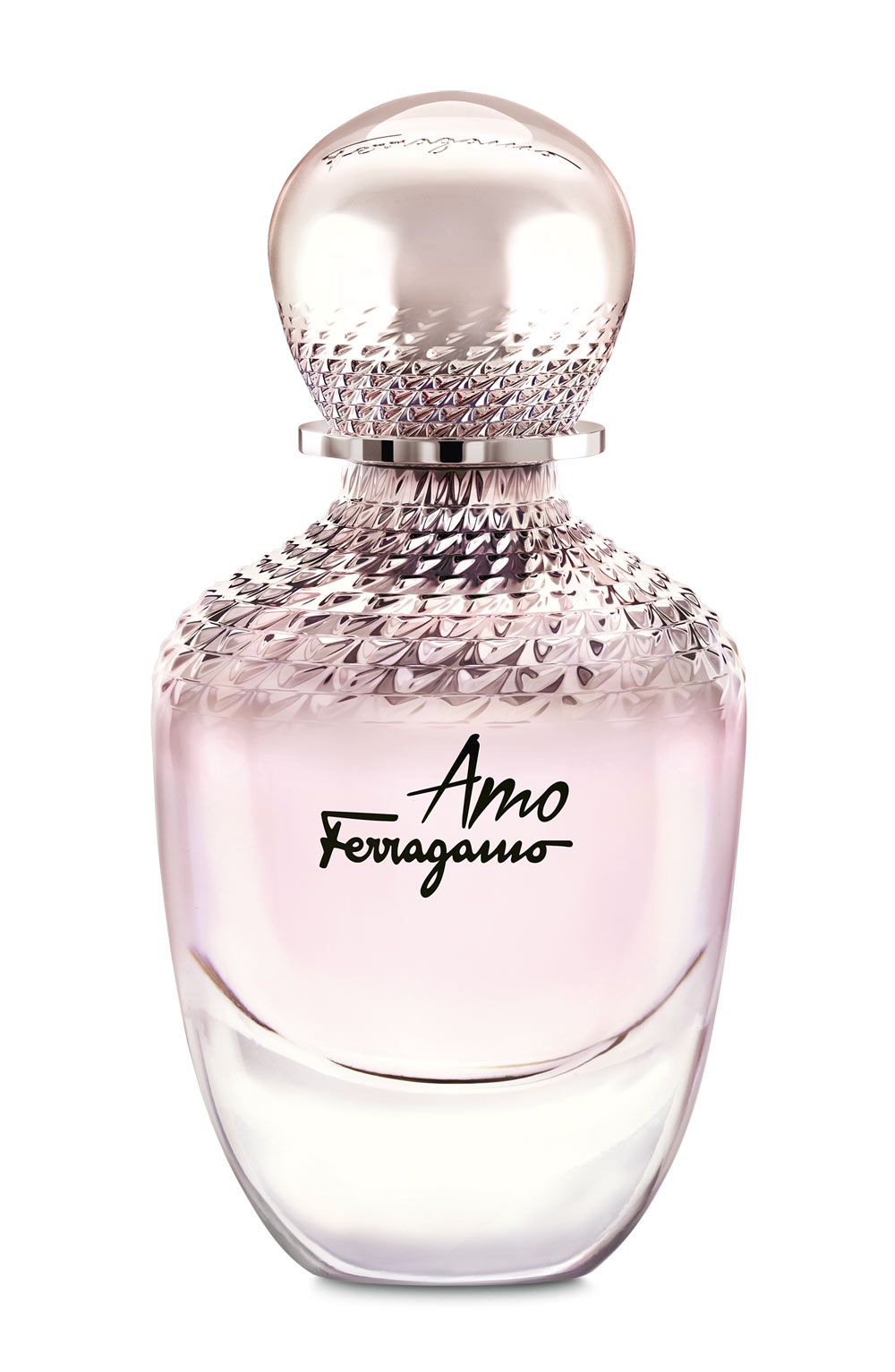 Amo